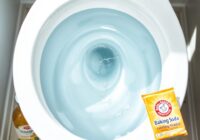 Sprzątanie toalety szybko i skutecznie: sprawdzone metody usuwania kamienia i bakterii w domu